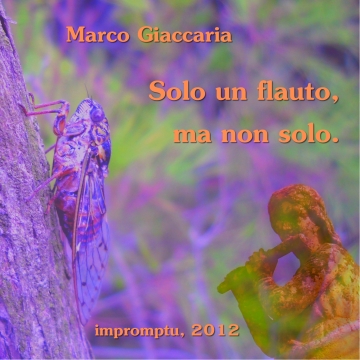 Marco Giaccaria - Solo un flauto, ma non solo.